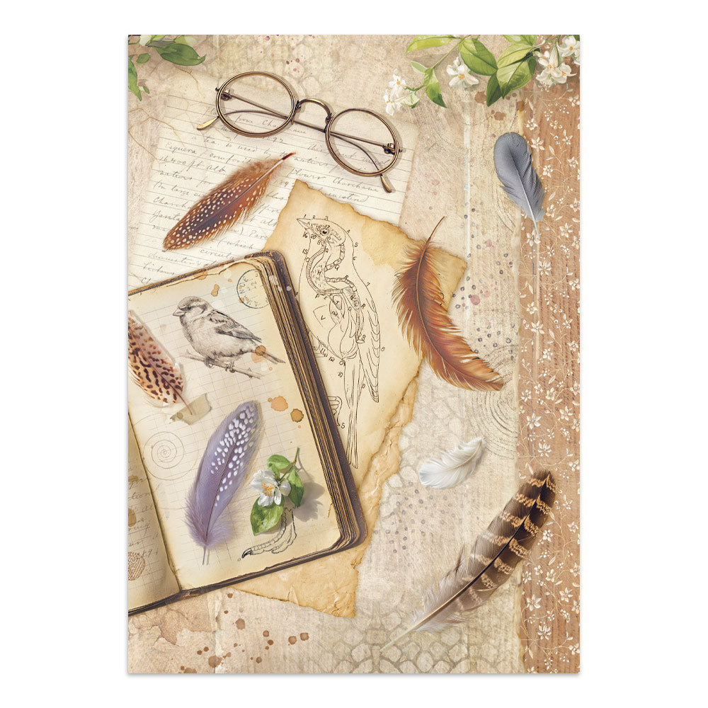 Stamperia All Around Junk Journal Stickers, Backgrounds, Cut-Outs (SBJK20)