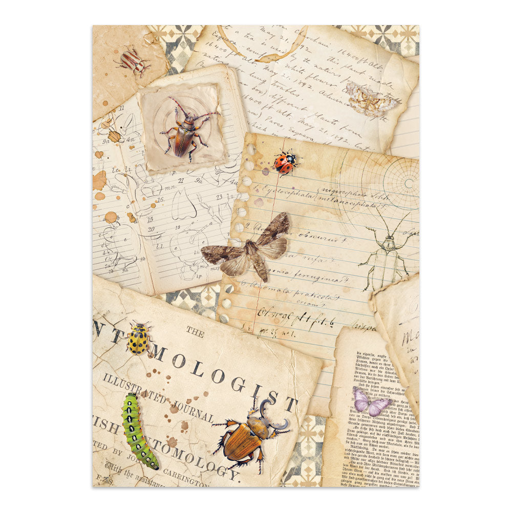 Stamperia All Around Junk Journal Stickers, Backgrounds, Cut-Outs (SBJK20)