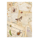 Stamperia All Around Junk Journal Stickers, Backgrounds, Cut-Outs (SBJK20)