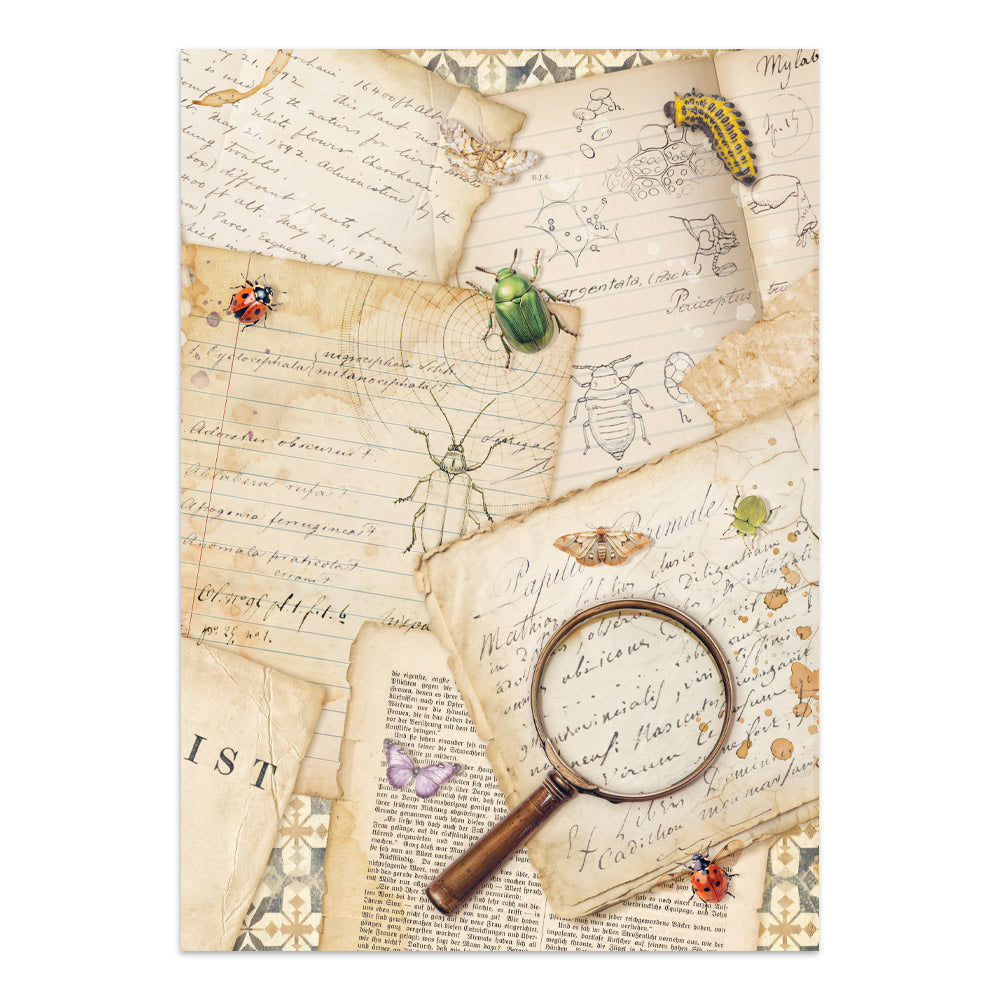 Stamperia All Around Junk Journal Stickers, Backgrounds, Cut-Outs (SBJK20)