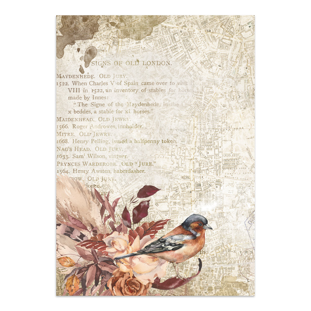 Stamperia Our Way Junk Journal Stickers, Backgrounds, Cut-Outs - SBJK30