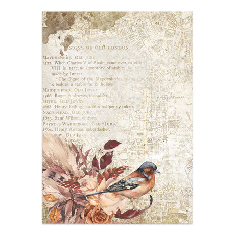 Stamperia Our Way Junk Journal Stickers, Backgrounds, Cut-Outs - SBJK30