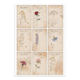 Stamperia Flowers and Poems Junk Journal Stickers, Backgrounds, Cut-Outs - SBJK31