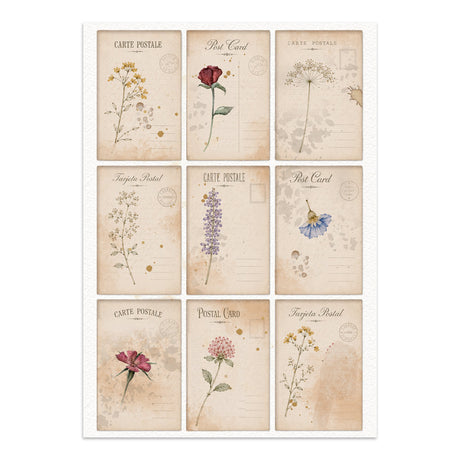 Stamperia Flowers and Poems Junk Journal Stickers, Backgrounds, Cut-Outs - SBJK31