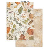 Stamperia Flowers and Poems Junk Journal Stickers, Backgrounds, Cut-Outs - SBJK31