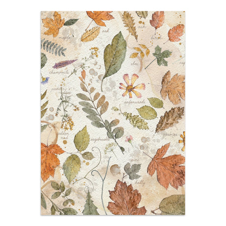 Stamperia Flowers and Poems Junk Journal Stickers, Backgrounds, Cut-Outs - SBJK31