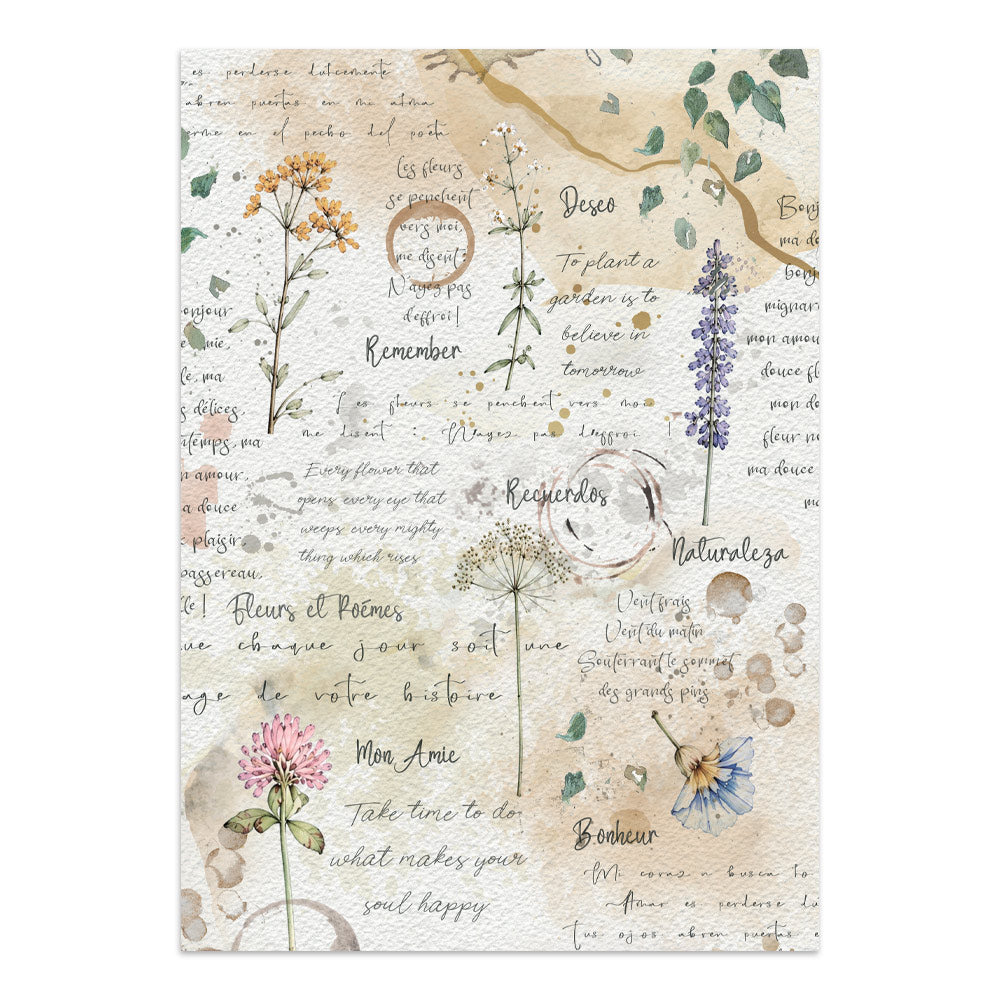 Stamperia Flowers and Poems Junk Journal Stickers, Backgrounds, Cut-Outs - SBJK31