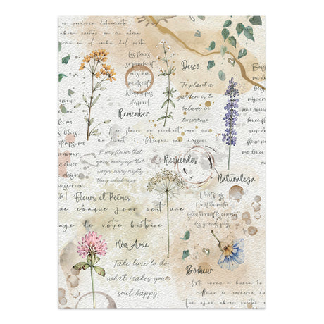 Stamperia Flowers and Poems Junk Journal Stickers, Backgrounds, Cut-Outs - SBJK31