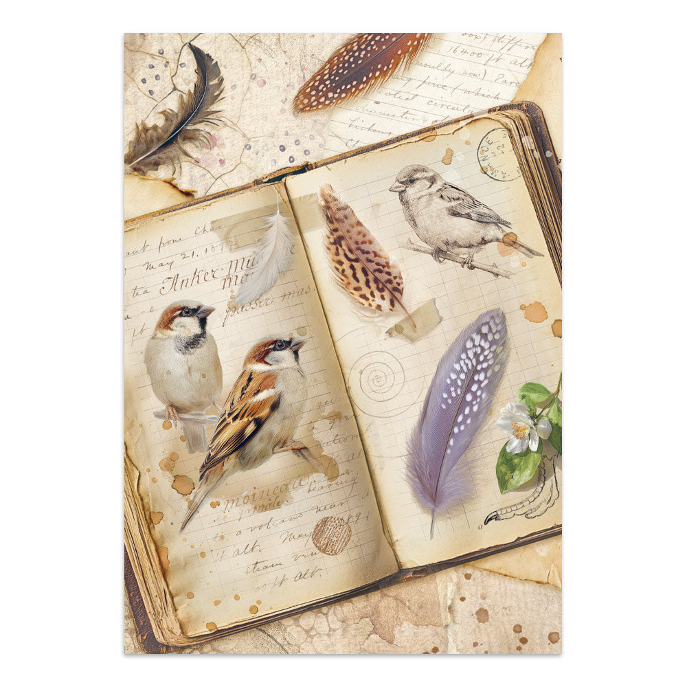 Stamperia All Around Junk Journal A5 Focus Points (SBJKS02)