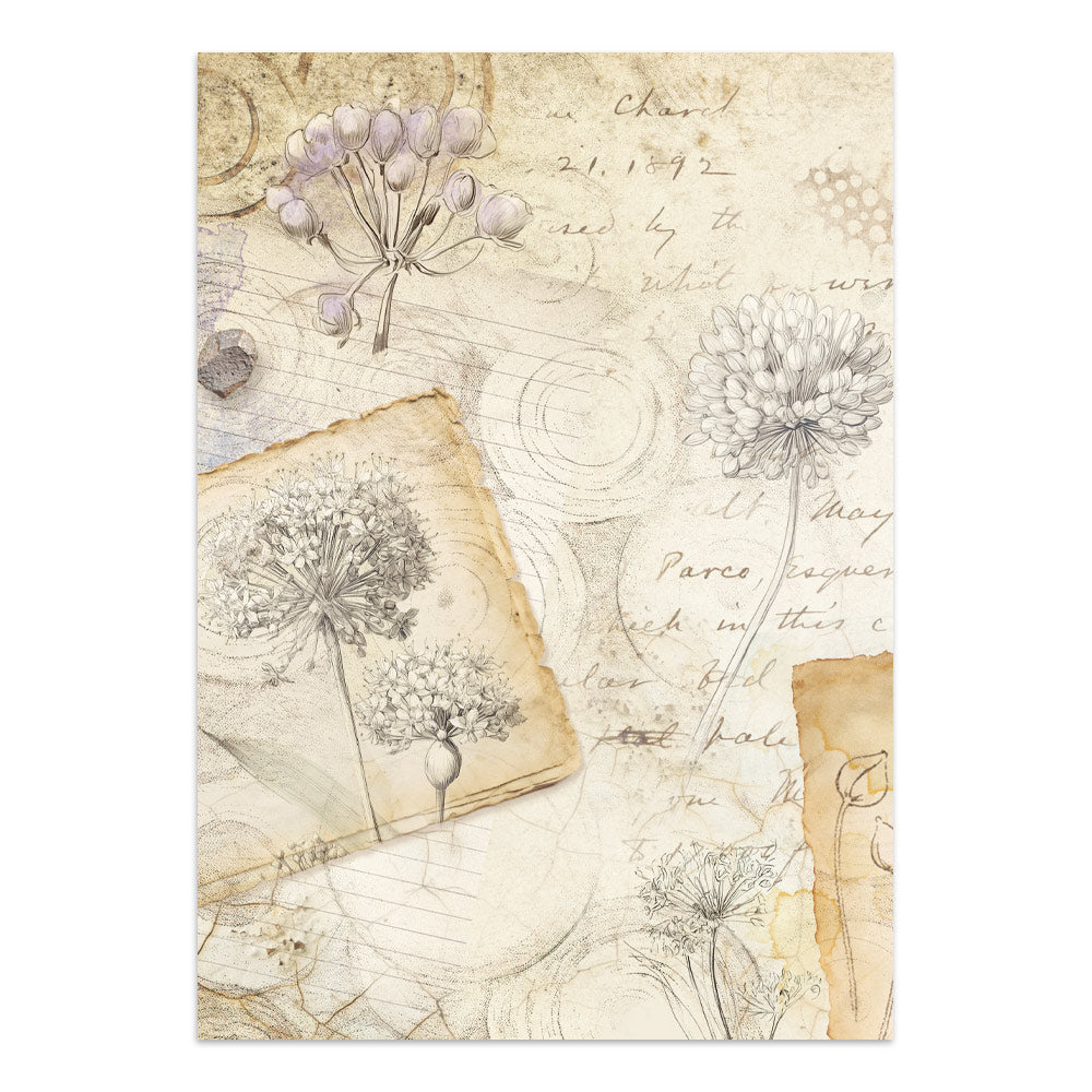 Stamperia All Around Junk Journal A5 Focus Points (SBJKS02)