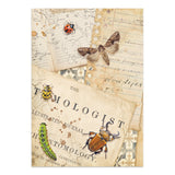 Stamperia All Around Junk Journal A5 Focus Points (SBJKS02)