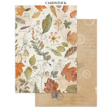Stamperia Flowers and Poems Junk Journal A5 Focus Points - SBJKS10