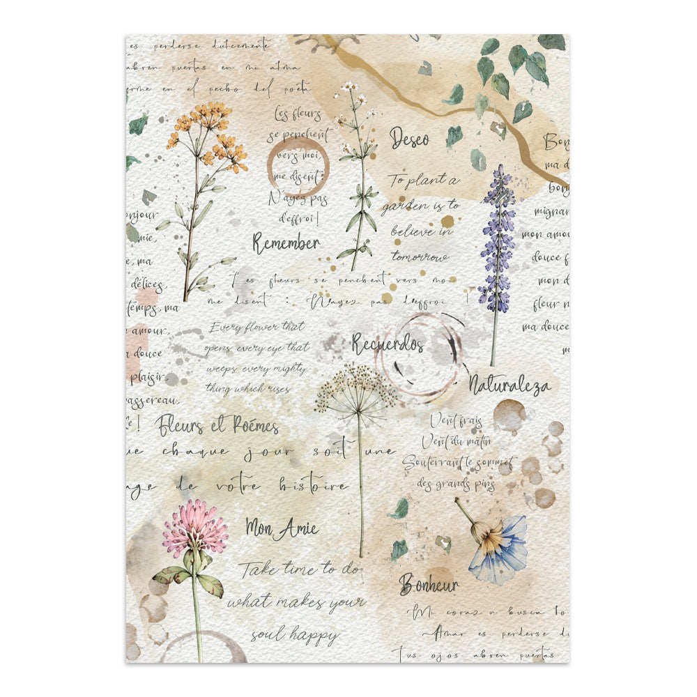 Stamperia Flowers and Poems Junk Journal A5 Focus Points - SBJKS10
