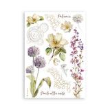 Stamperia All Around A5 Washi Pad (8pcs) (SBW33)