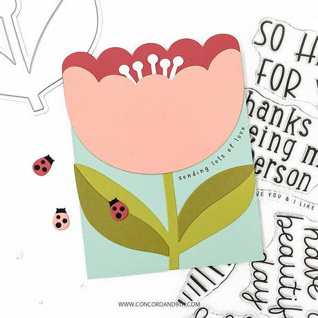 Concord & 9th Scalloped Petals Stamp Set (4 x 8) / Die Bundle