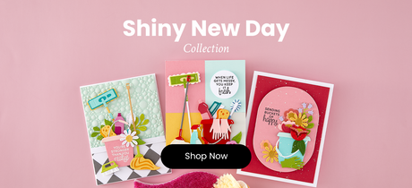 Spellbinders Shiny New Day I Want It All! Bundle