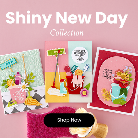 Spellbinders Shiny New Day I Want It All! Bundle