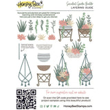 Honey Bee Succulent Garden Builder - Honey Cuts