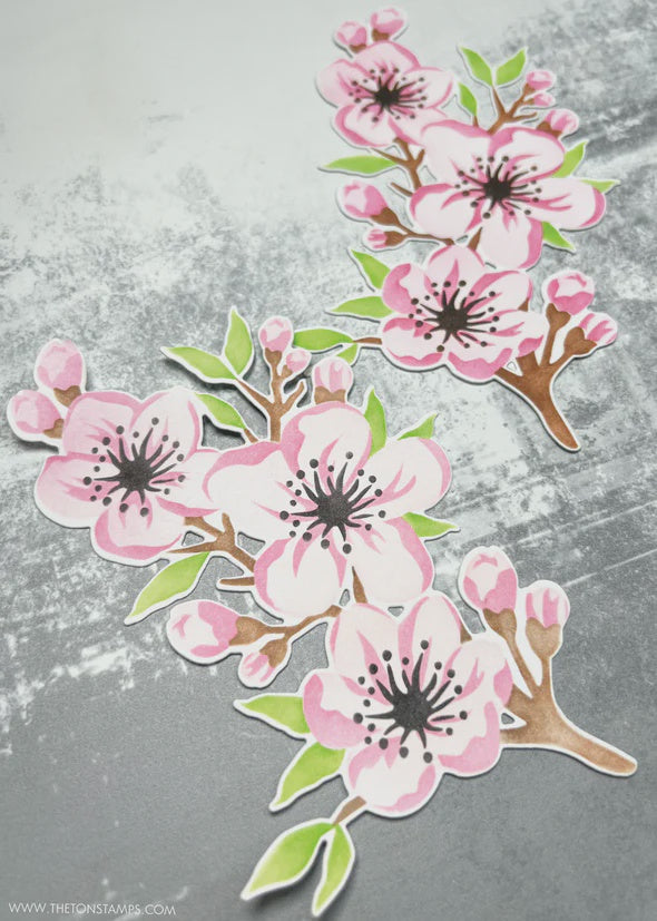 The Ton Stamps Sweet Cherry Blossoms Stencils*