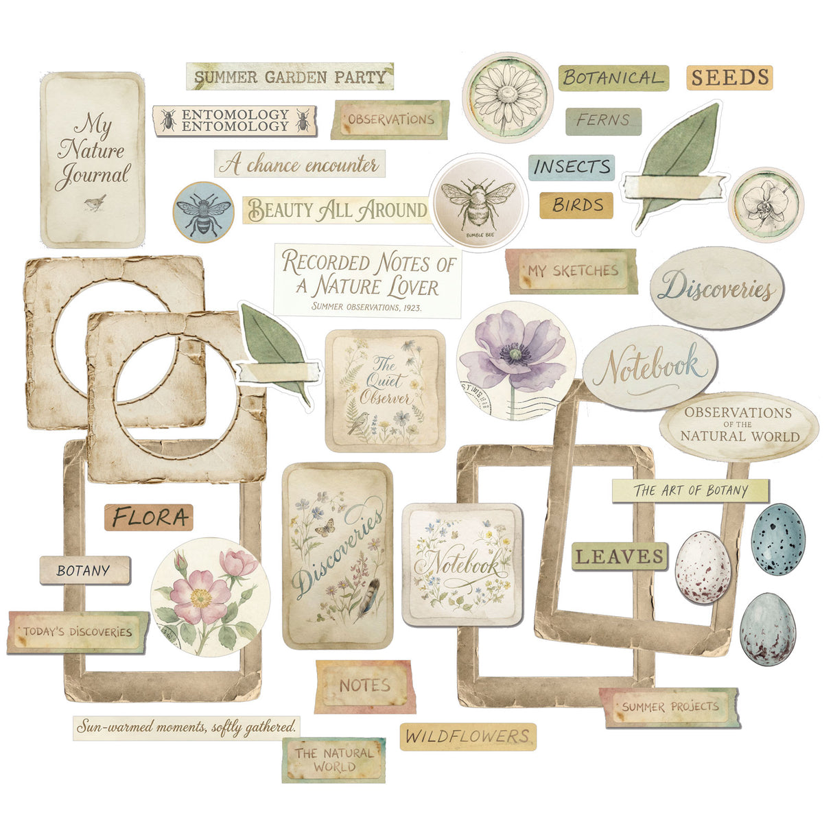 49 and Market The Quiet Observer Chipboard Set - TQO-37241