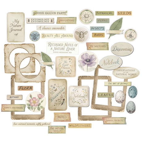 49 and Market The Quiet Observer Chipboard Set - TQO-37241