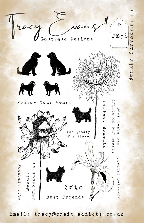 Tracy Evans Beauty Surrounds Us A5 Stamp (TE056)