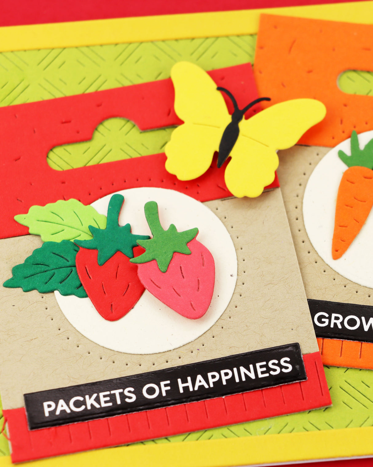 Waffle Flower Craft Seed Packet Die
