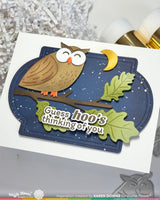 Waffle Flower Owl Duo Die-n-stencil - 422243