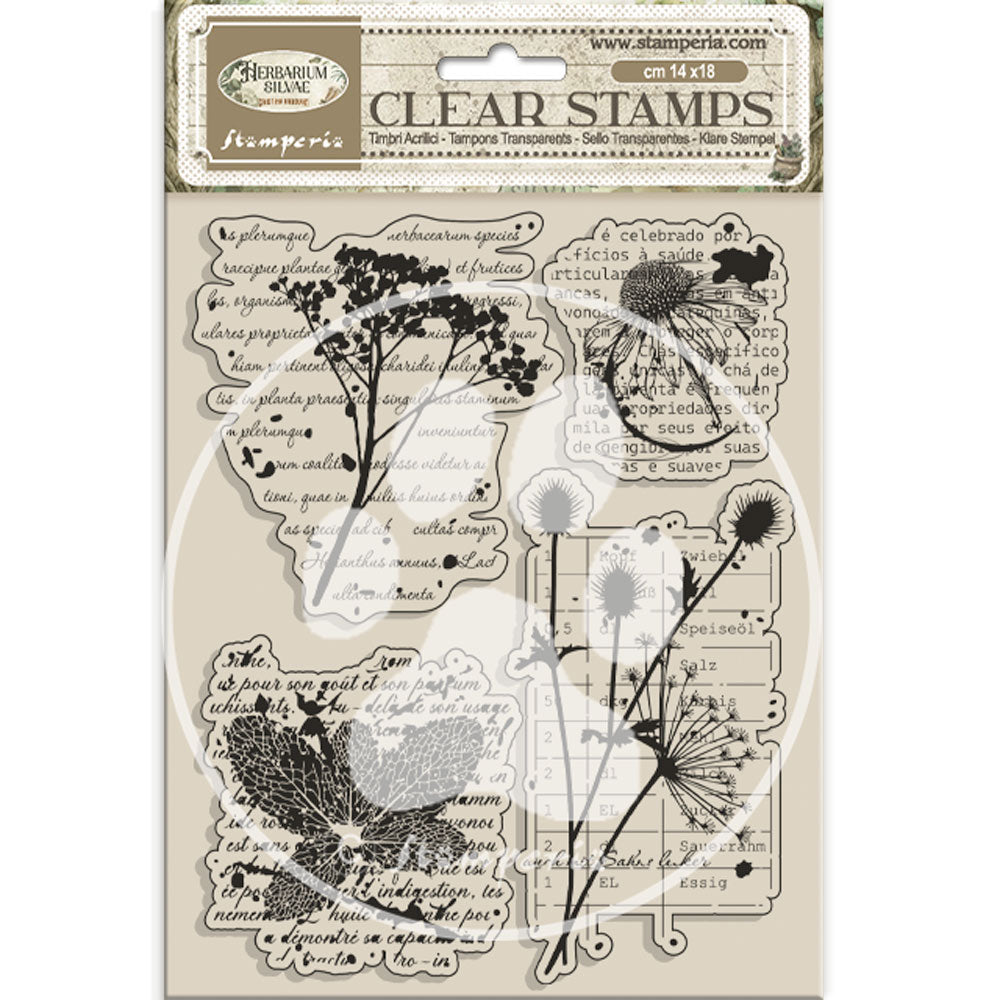 Stamperia Herbarium Silvae Clear Stamp Botanic (WTK231)
