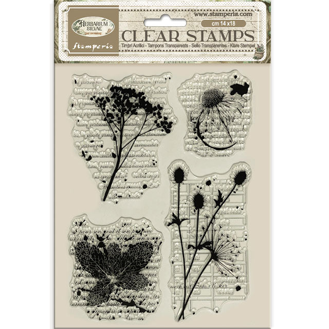 Stamperia Herbarium Silvae Clear Stamp Botanic (WTK231)
