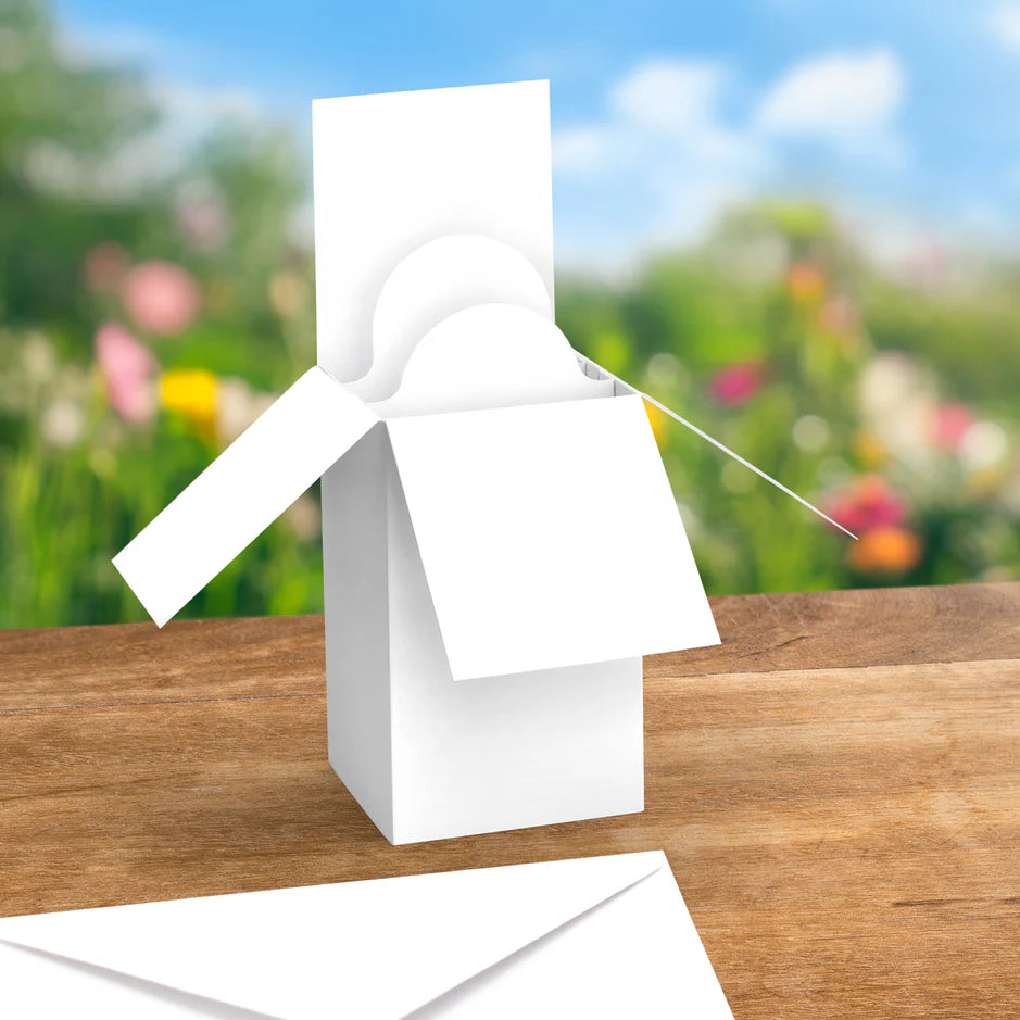 Katy Sue Designs White Pop Up Box Cards & Envelopes 140×200mm (Pack of 12)
