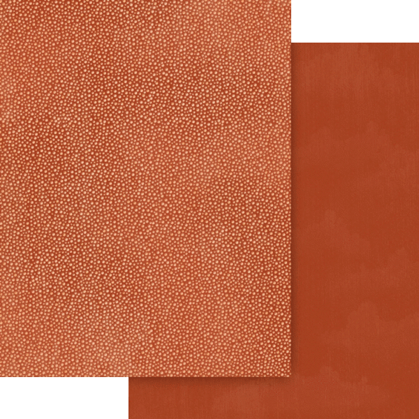 Graphic 45 Wonder of Oz 8.5 x 11 Patterns & Solids Pack