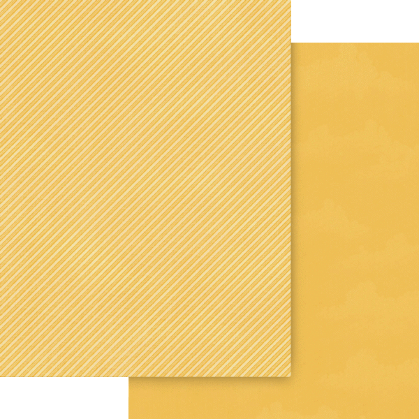 Graphic 45 Wonder of Oz 8.5 x 11 Patterns & Solids Pack