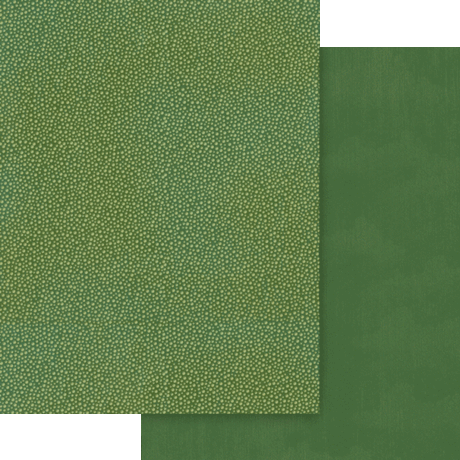 Graphic 45 Wonder of Oz 8.5 x 11 Patterns & Solids Pack