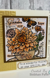 Woodware Tea Cup Blooms A6 Clear Stamp Set by Françoise Read