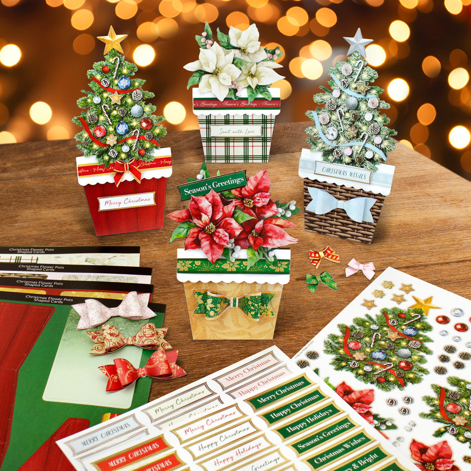 Katy Sue Christmas Flower Pots Card Making Kit - 17-10078CFP