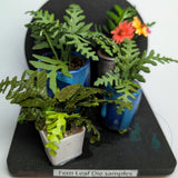 Cool Katz Craft Cutz 1/12 & 1/24 scale Fern leaf die
