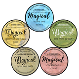 Lindy's Gang Mermaid Seashells SHIMMER Magicals + Shaker/Sticker Pack