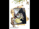 49 & Market Chronicles Of OZ By Audrey Underwood