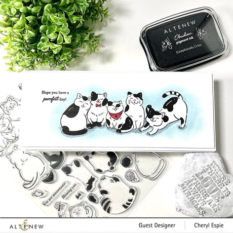 Altenew Cat Life - Complete Bundle