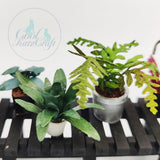 Cool Katz Craft Cutz 1/12 & 1/24 scale Fern leaf die
