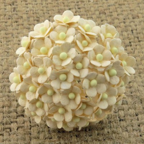 ATK 100 MINIATURE DEEP IVORY SWEETHEART BLOSSOM FLOWERS