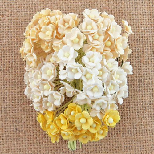 ATK 100 MINIATURE MIXED WHITE/CREAM SWEETHEART BLOSSOM FLOWERS