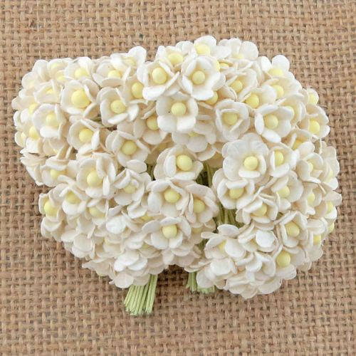 ATK 100 MINIATURE WHITE SWEETHEART BLOSSOM FLOWERS