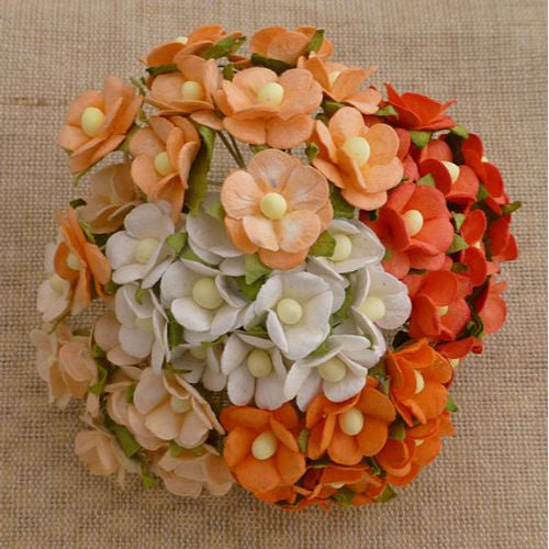 ATK 100 MIXED PEACH/ORANGE &amp; WHITE SWEETHEART BLOSSOM