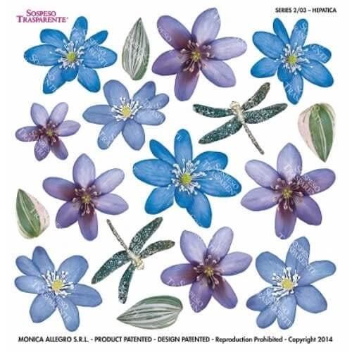 Series 2.03 Hepatica