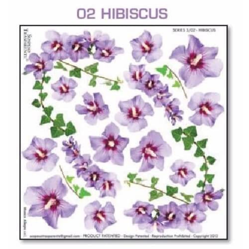 Series 3.02 Hibiscus