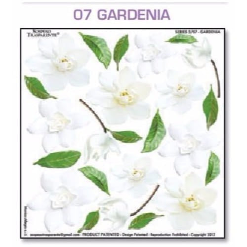 Series 3.07 Gardenia