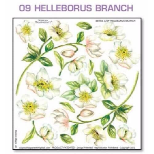 Series 3.09 Helleborus Branch