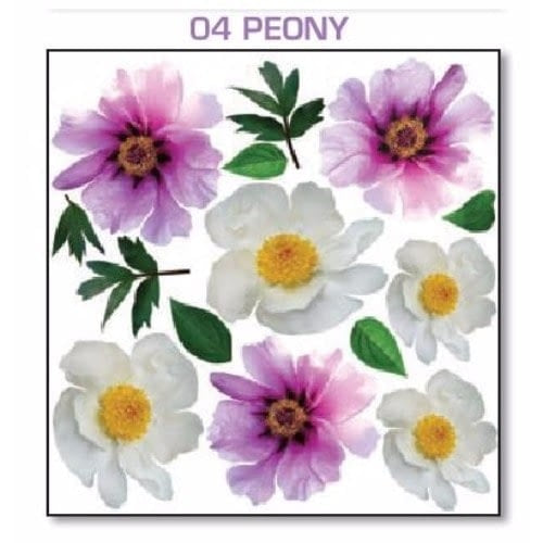 Series 4.04 Peony